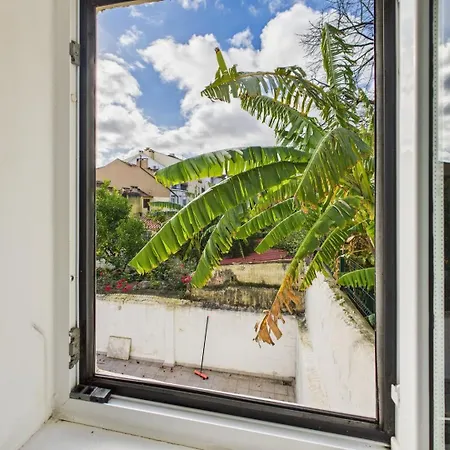 Appartement Cozy 1br In Estrela | By Airnest *